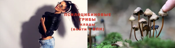 a pvp Лагань