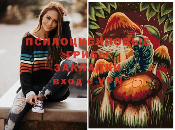 соль ск Ладушкин