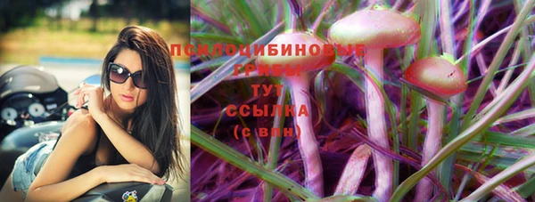 прущие крисы Лабытнанги